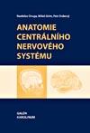 Anatomie centrálního nervového systému
