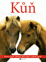 Kůň