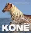 Kniha Koně - Temperament a elegance ve fotografiích Koně - Temperament a elegance ve fotografiích