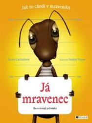Technologie masa - cvičení