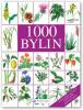 1000 bylin