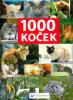 1000 koček