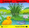 Zvědavé housátko