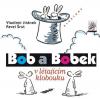 Bob a Bobek v létajícím klobouku