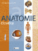 ANATOMIE člověka