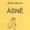 Ásně
