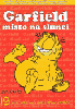 Garfield, místo na slunci