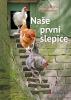 Naše první slepice