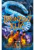 Magisterium 3: Bronzový klíč