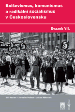 Bolševismus, komunismus a radikální socialismus v Československu