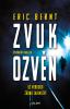 Zvuk ozvěn